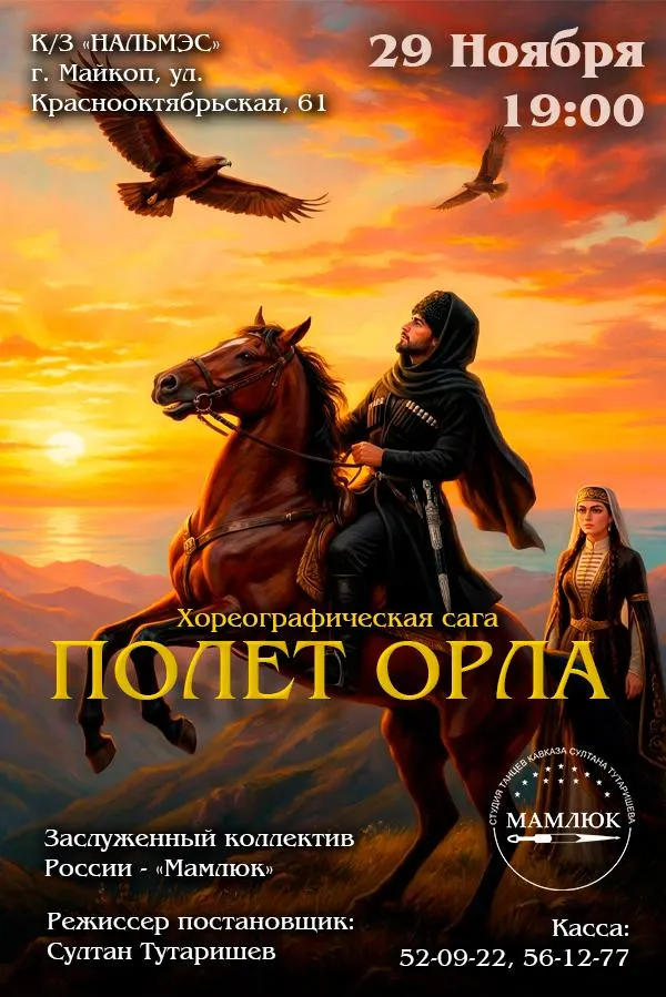 Концерт Заслуженный коллектив России «Мамлюк». Хореографическая сага «Полет орла»
